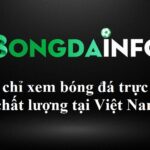 BONGDAINFO - Địa chỉ xem bóng đá trực tiếp chất lượng tại Việt Nam