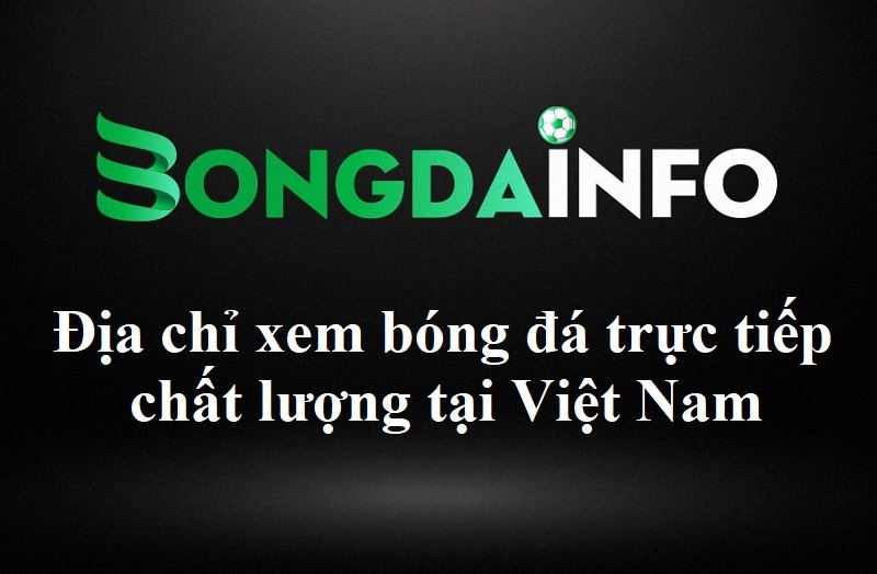 BONGDAINFO – Địa chỉ xem bóng đá trực tiếp chất lượng tại Việt Nam